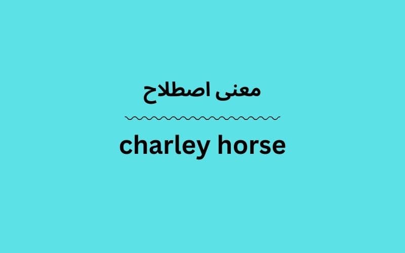 معنی charley horse