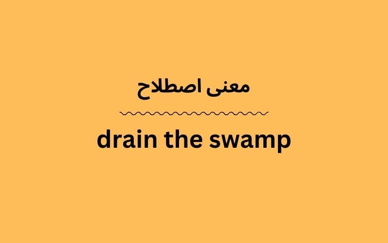 معنی drain the swamp