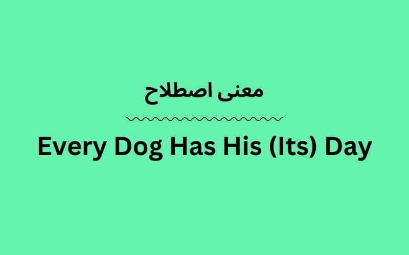 معنی Every Dog Has His (Its) Day