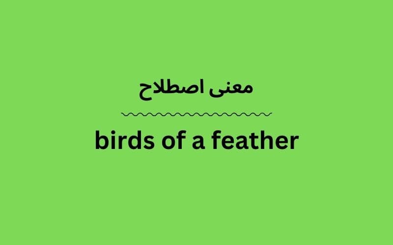 معنی birds of a feather