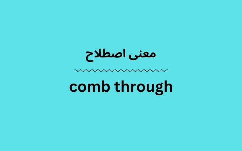 معنی comb through