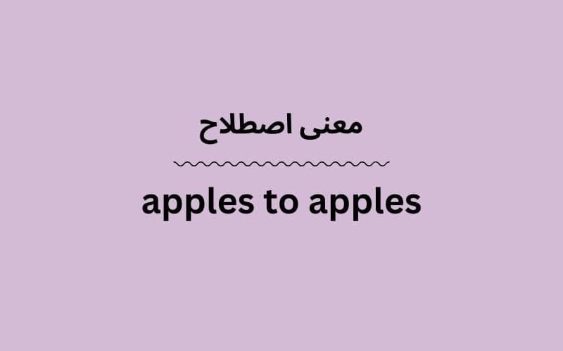 معنی apples to apples