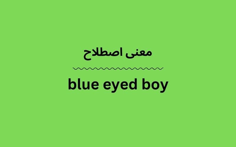 معنی blue eyed boy