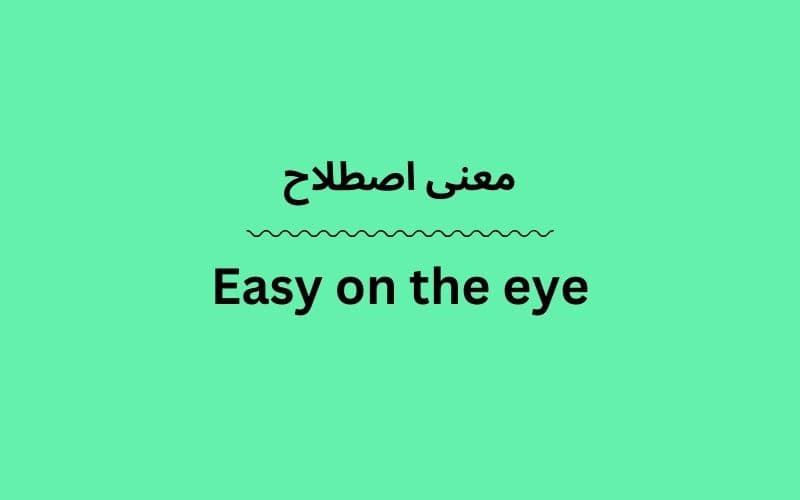 معنی Easy on the eye
