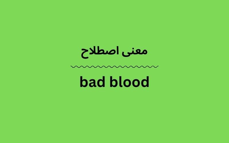 معنی bad blood