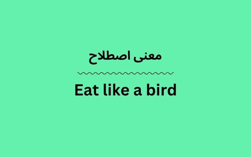 معنی Eat like a bird