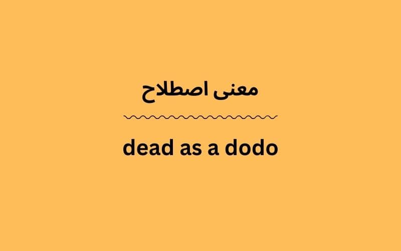 معنی dead as a dodo