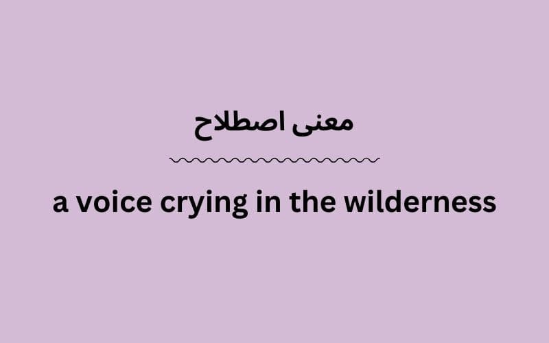 معنی a voice crying in the wilderness