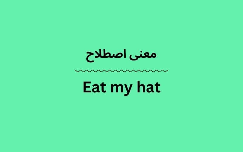 معنی Eat my hat