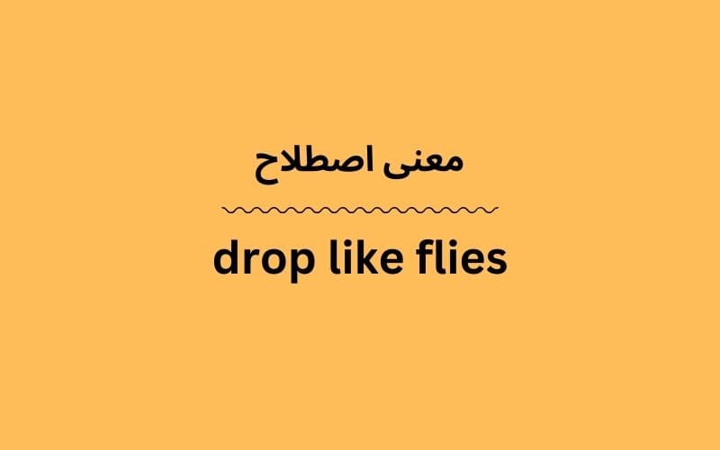 معنی drop like flies