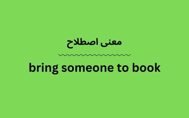 معنی bring someone to book