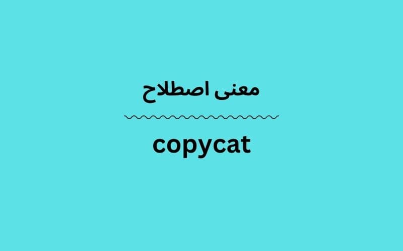 معنی copycat