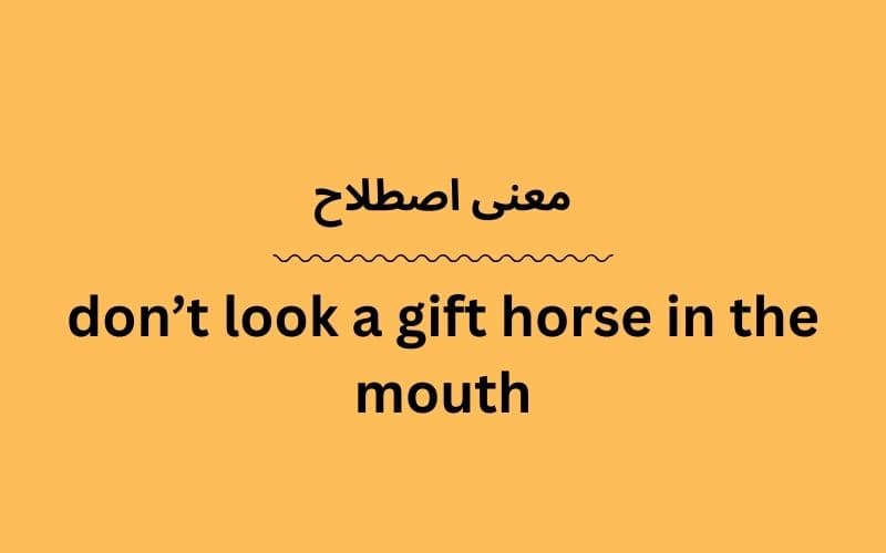 معنی don’t look a gift horse in the mouth