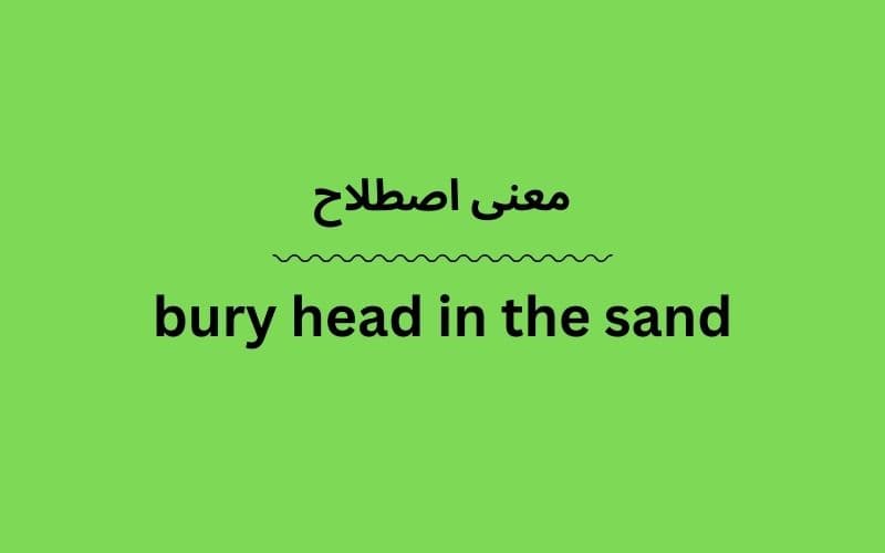 معنی bury head in the sand