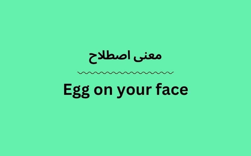 معنی Egg on your face