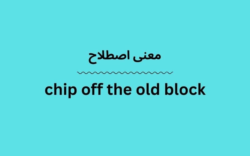 معنی chip off the old block