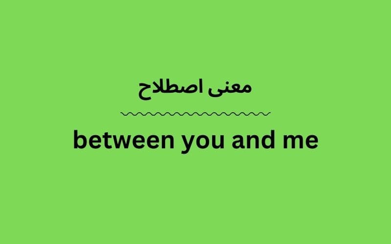 معنی between you and me