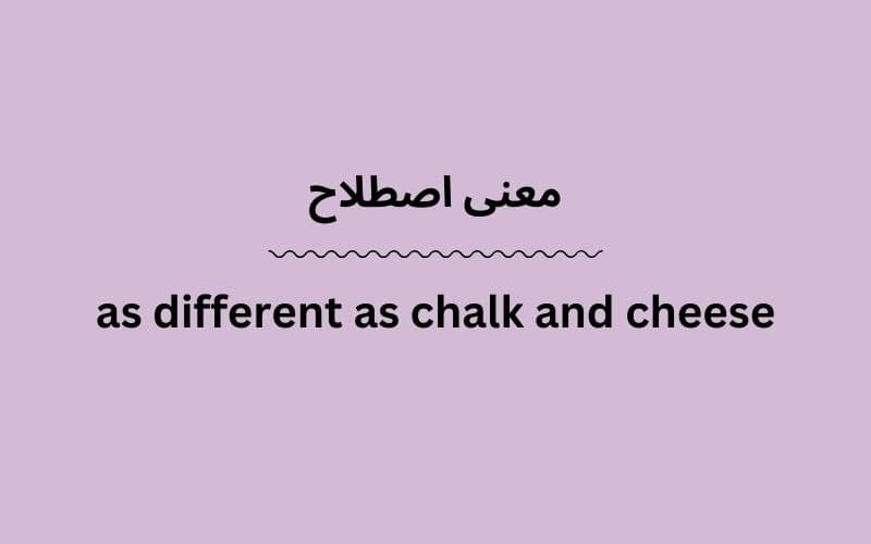 معنی as different as chalk and cheese