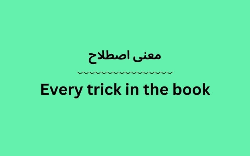 معنی Every trick in the book