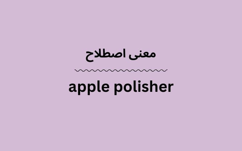معنی apple polisher