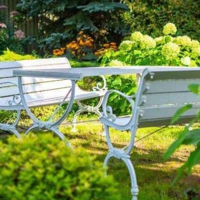 باغ و باغچه