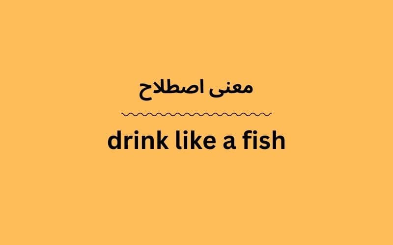 معنی drink like a fish