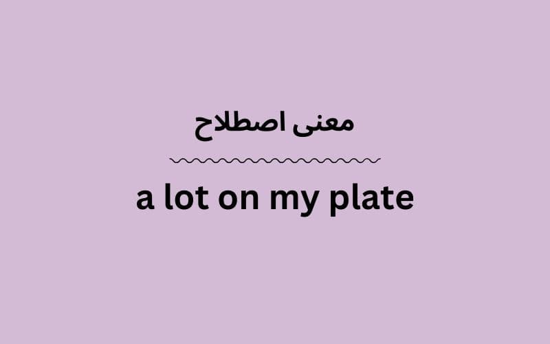 معنی a lot on my plate