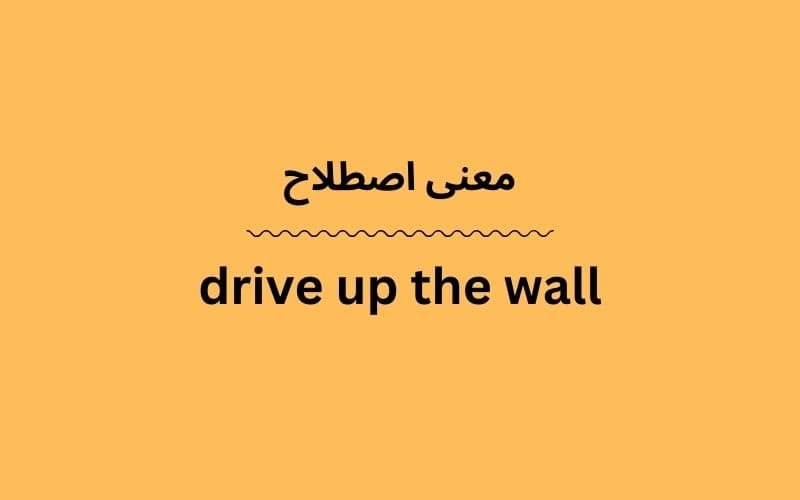 معنی drive up the wall