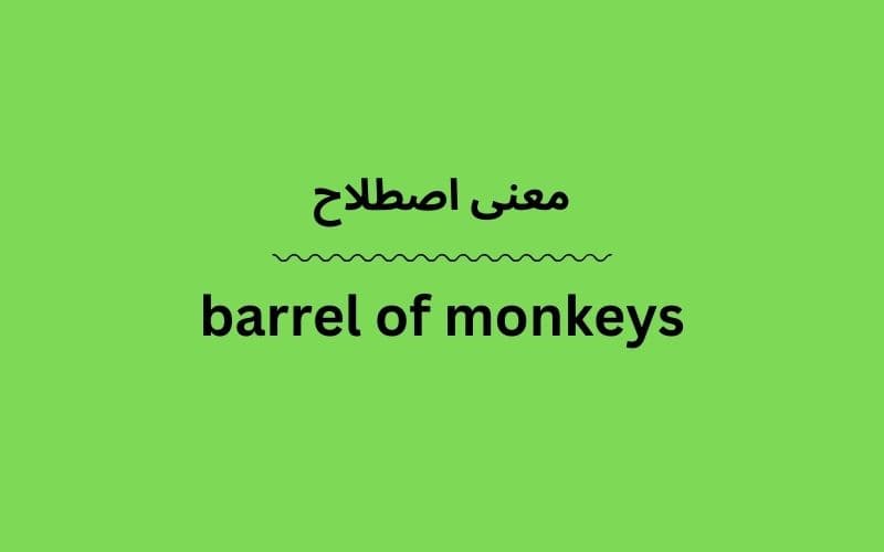 معنی barrel of monkeys