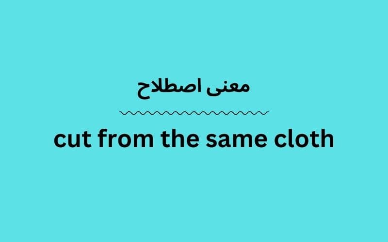 معنی cut from the same cloth