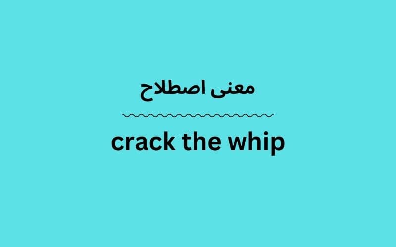 معنی crack the whip
