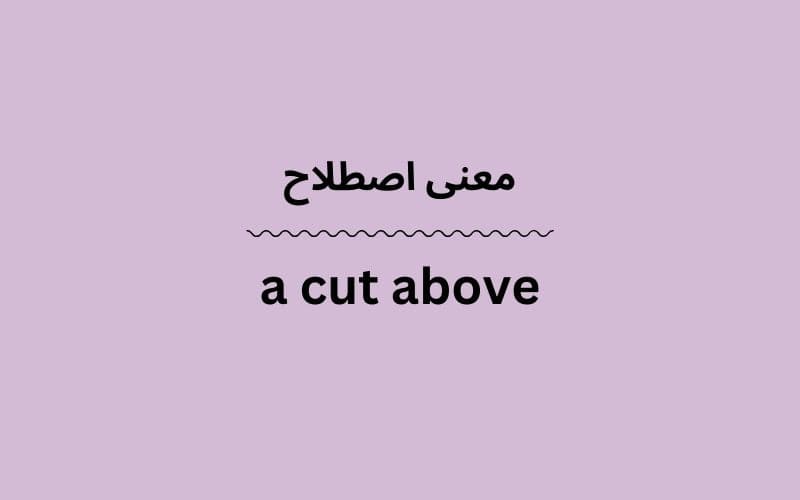 معنی a cut above