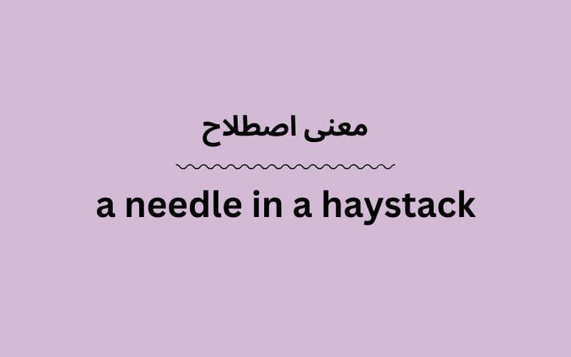 معنی a needle in a haystack