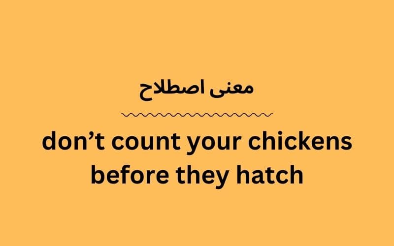 معنی don’t count your chickens before they hatch