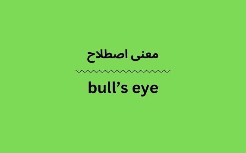 معنی bull’s eye