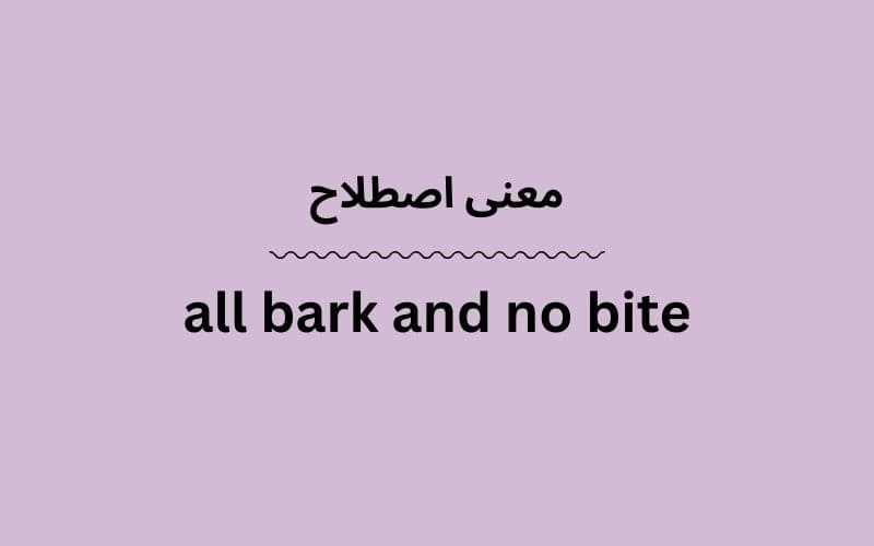 معنی all bark and no bite