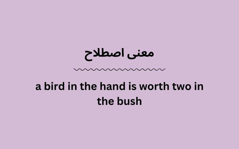 معنی a bird in the hand is worth two in the bush