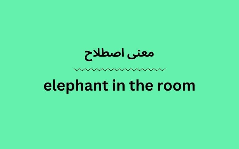 معنی elephant in the room