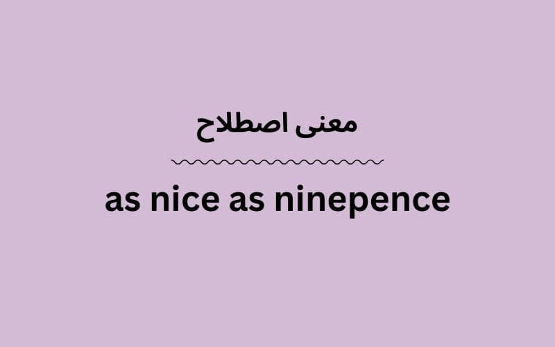 معنی as nice as ninepence