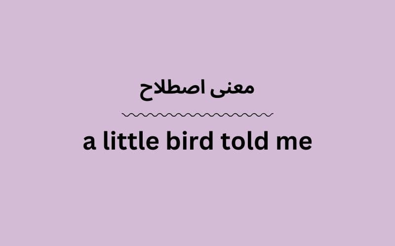 معنی a little bird told me