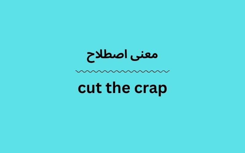 معنی cut the crap