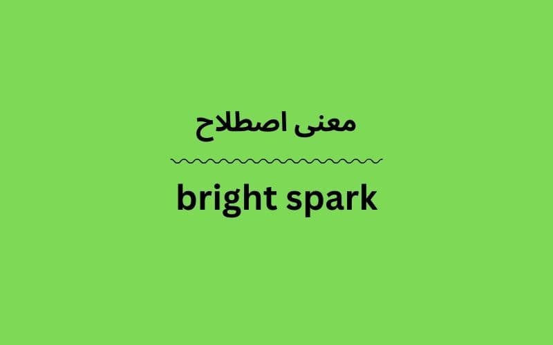 معنی bright spark