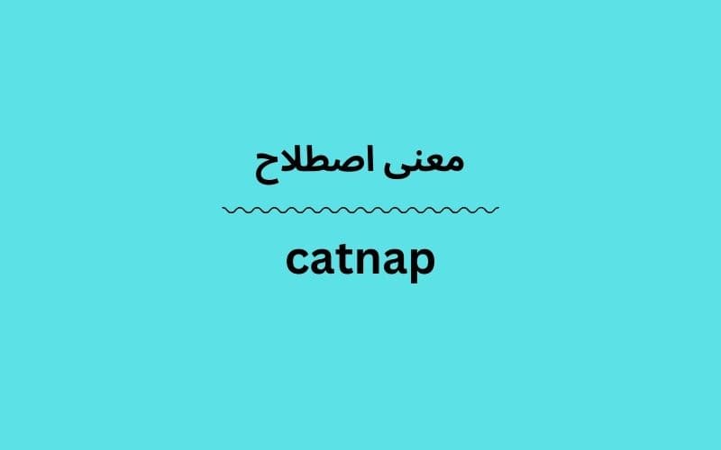 معنی catnap