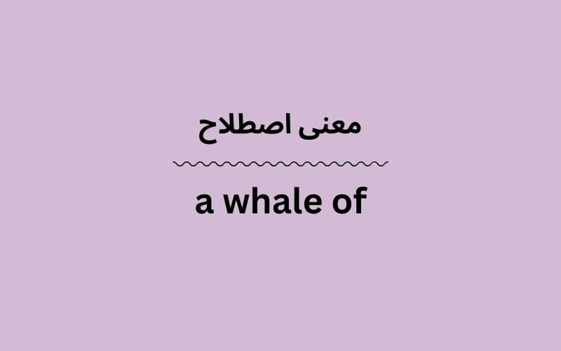 معنی a whale of