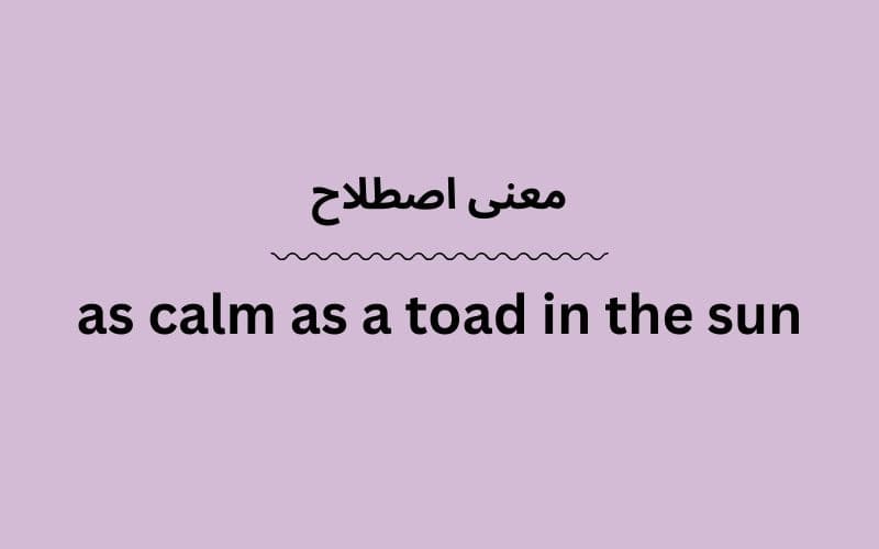 معنی as calm as a toad in the sun