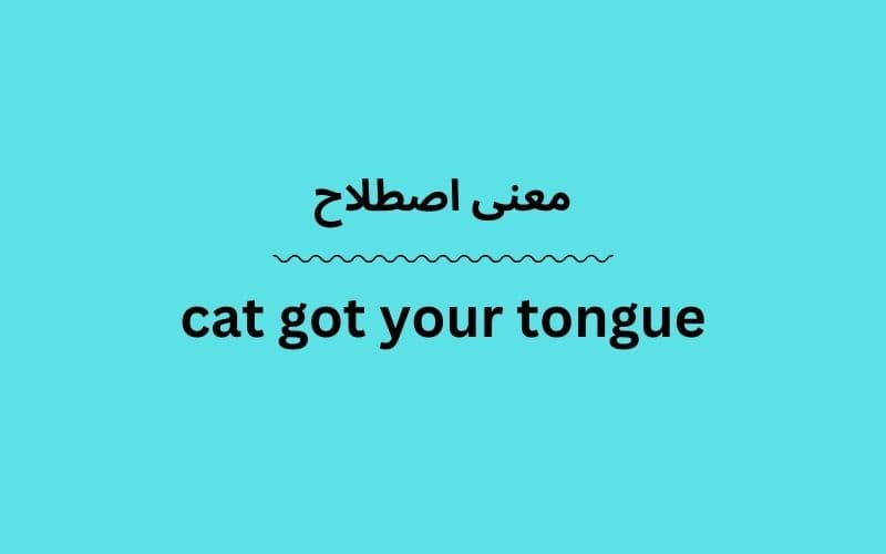 معنی cat got your tongue