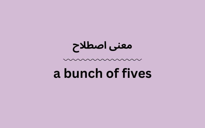 معنی a bunch of fives