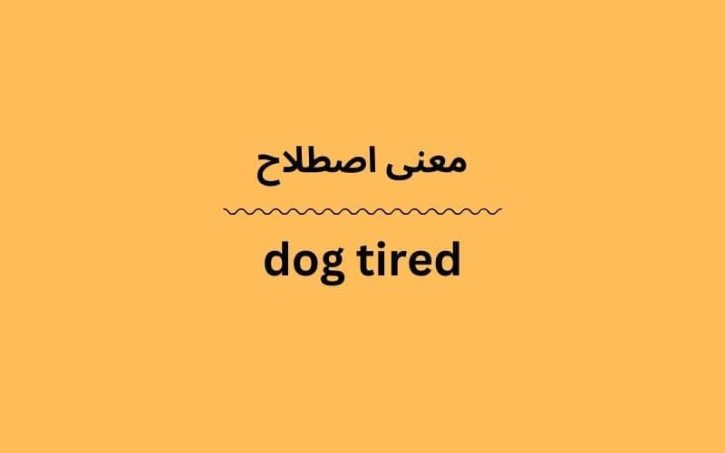 معنی dog tired چیست؟