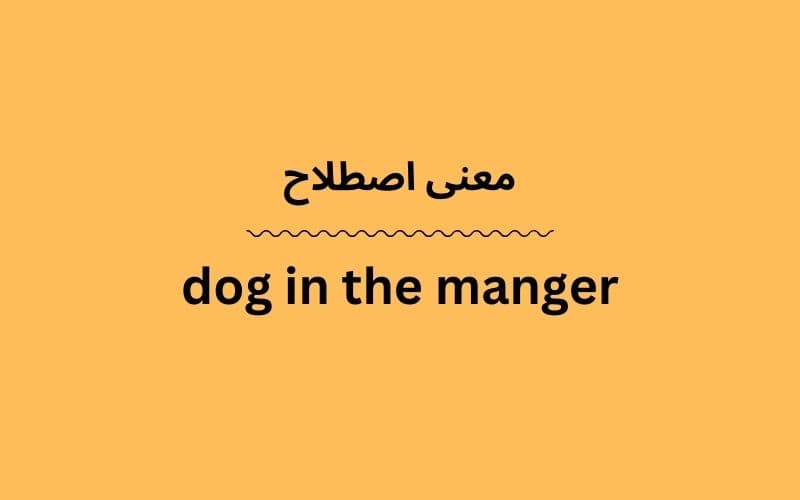 معنی dog in the manger چیست؟
