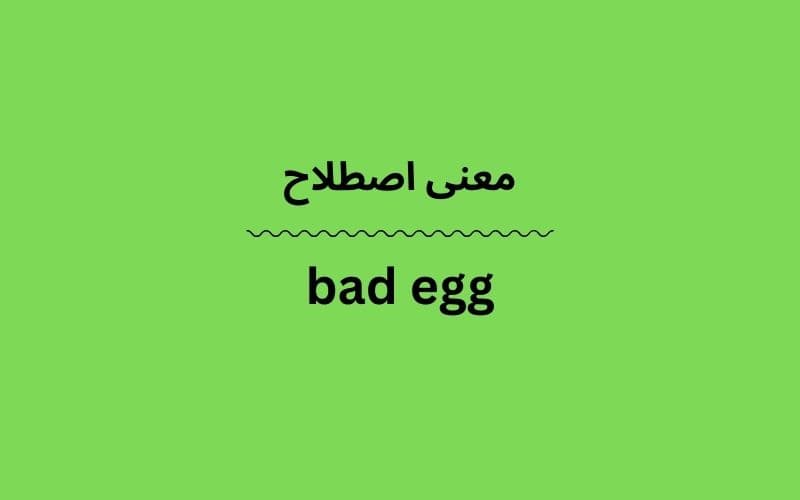 معنی bad egg